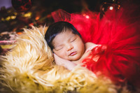 Baby Girl Newborn Photo Session