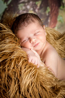 Newborn Photography | Noah